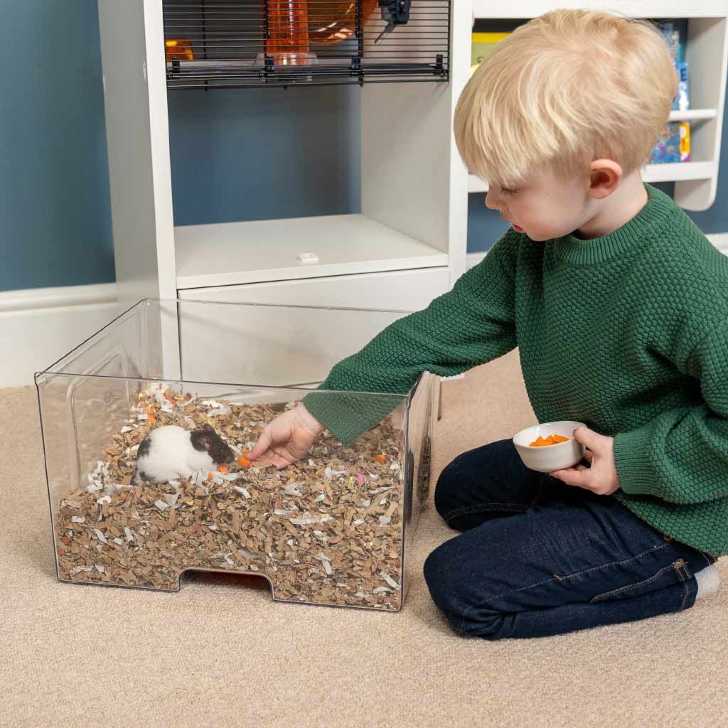 qute mouse house | omlet