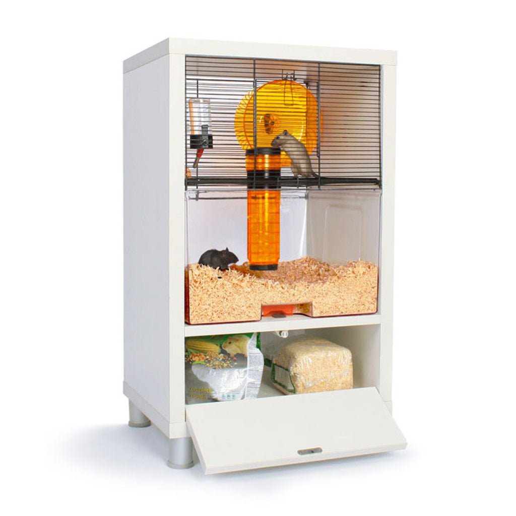 import placeholder for 3689600188496