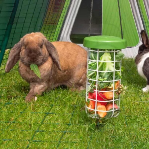 caddi rabbit & cavy treat holder | omlet