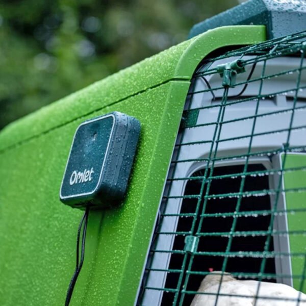 smart autodoor for eglu go | go up coops