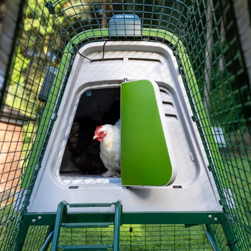 smart autodoor for eglu go | go up coops