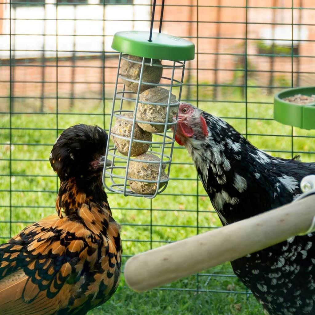 caddi chicken treat holder | omlet
