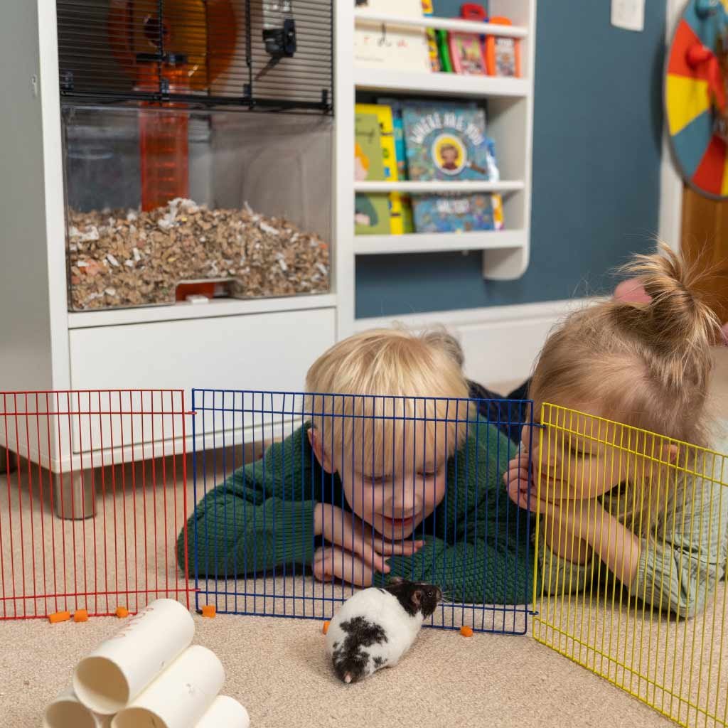 qute mouse house | omlet