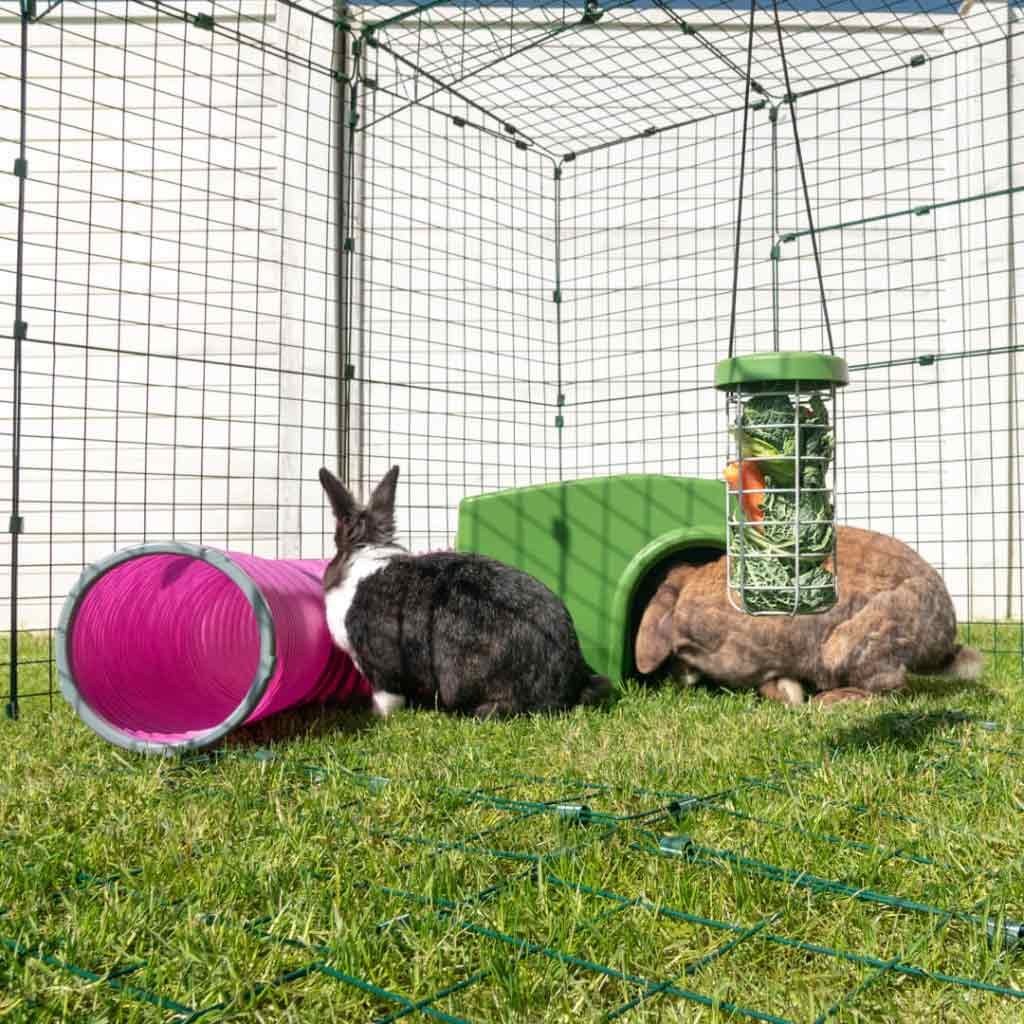 rabbit shelter | zippi
