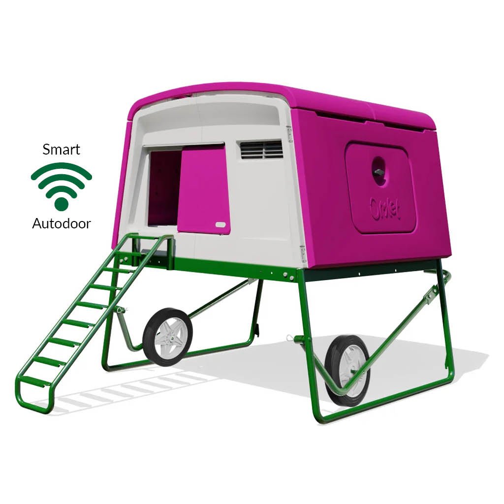 eglu cube | large chicken coop