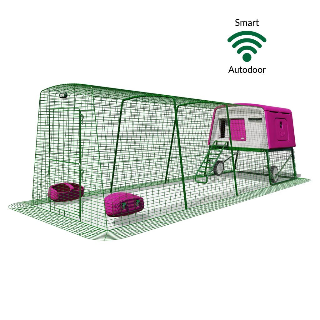 eglu cube | large chicken coop