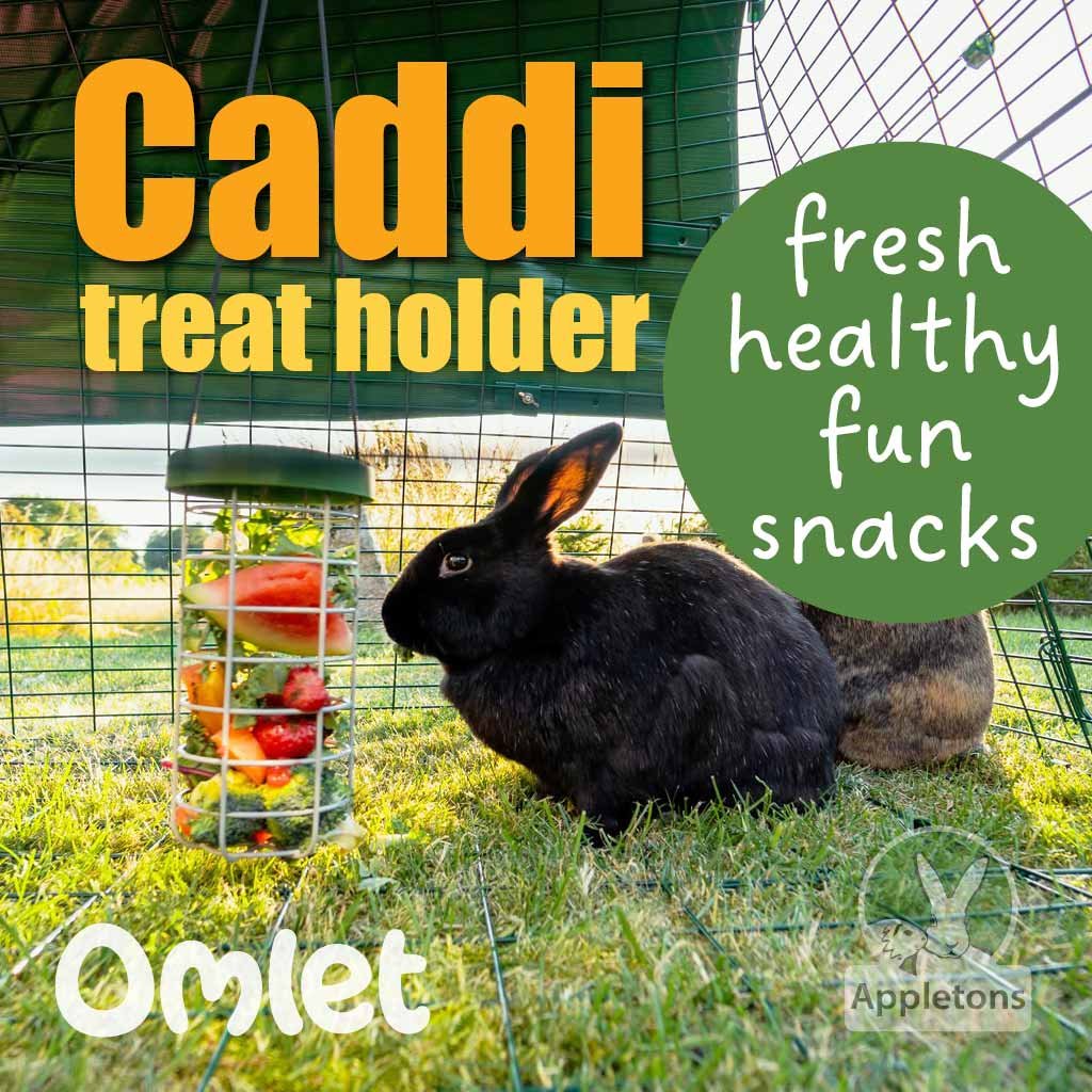 caddi rabbit & cavy treat holder | omlet