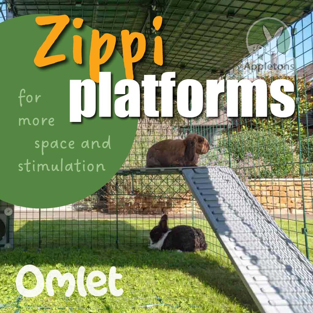 zippi platforms | rabbits