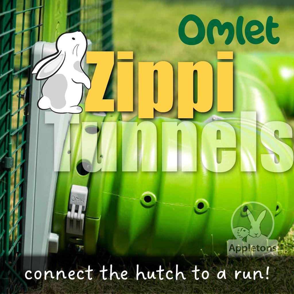 zippi tunnel system | rabbits & guinea pigs