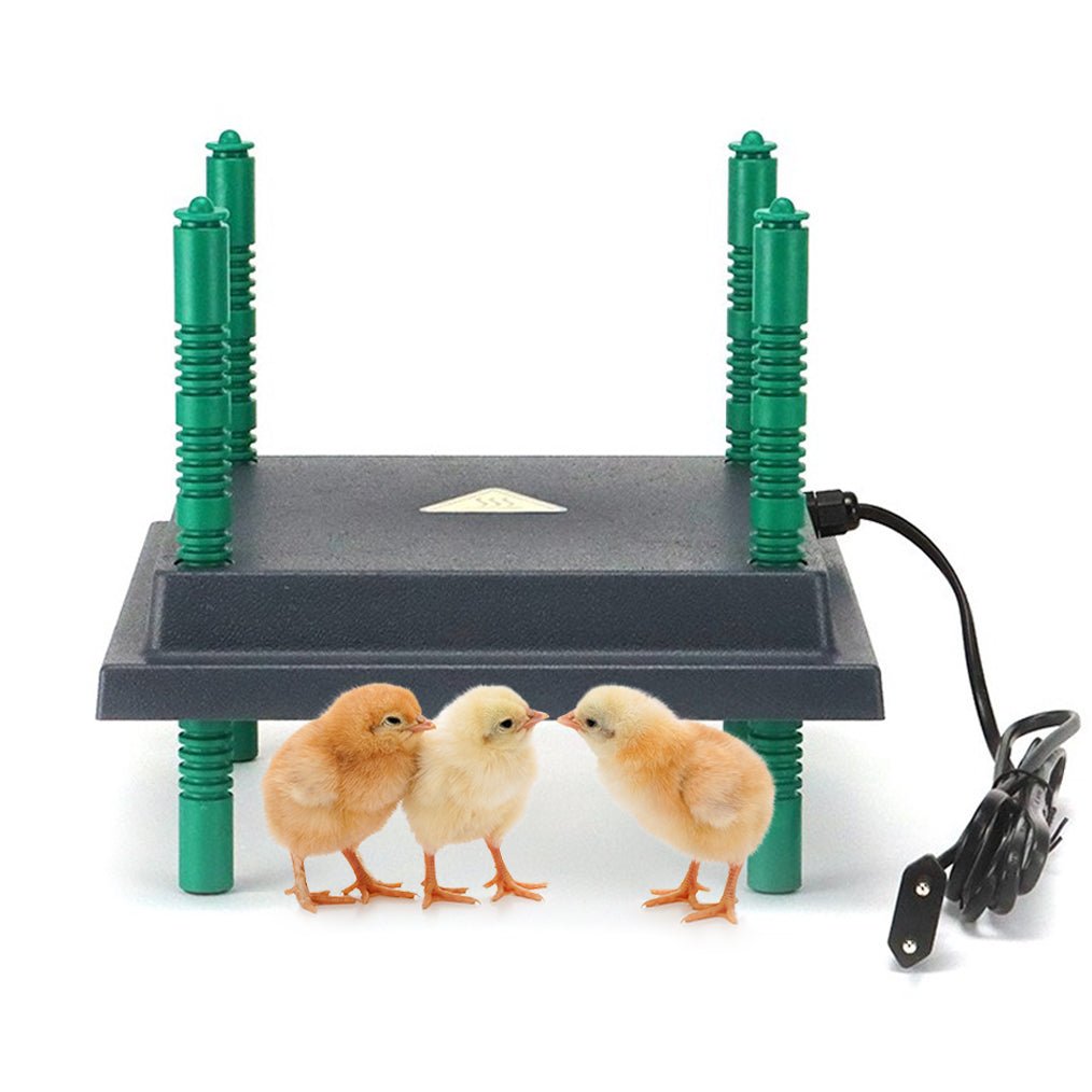 farmight chickheaterplate.jpg