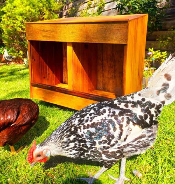 cosy nesting boxes