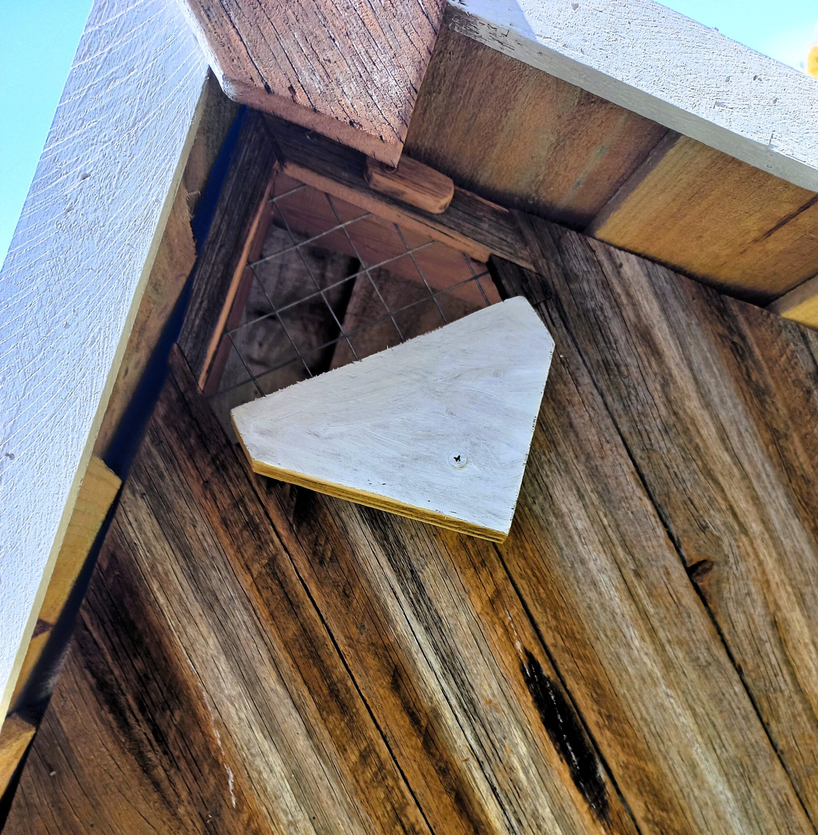 dixie’s xl duck cottage ii