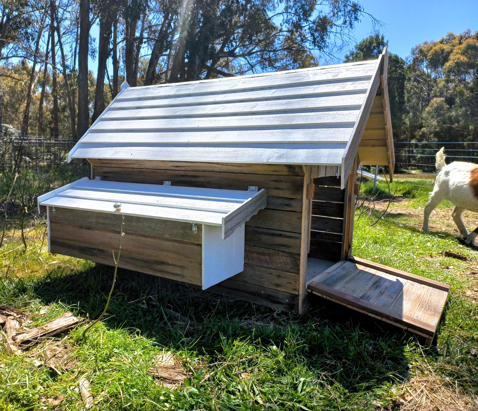 dixie’s xl duck cottage ii