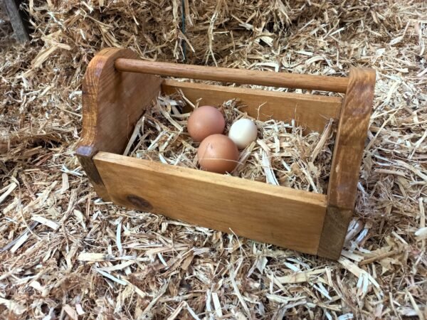 cosy egg carrier