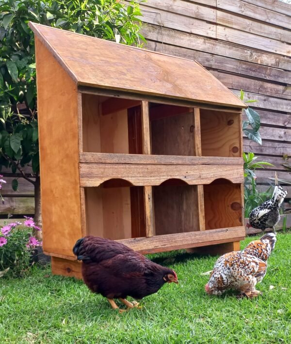 cosy nesting boxes