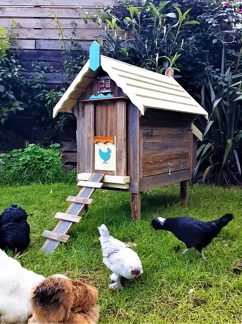 petite coop “lina ii”