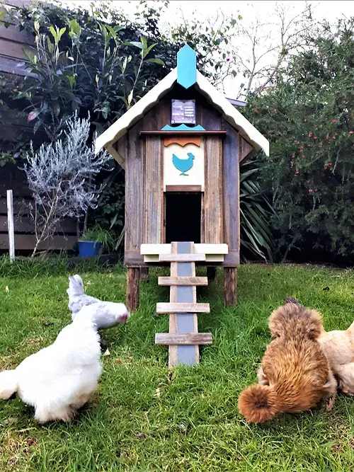 petite coop “lina ii”
