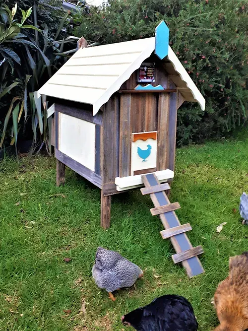 petite coop “lina ii”