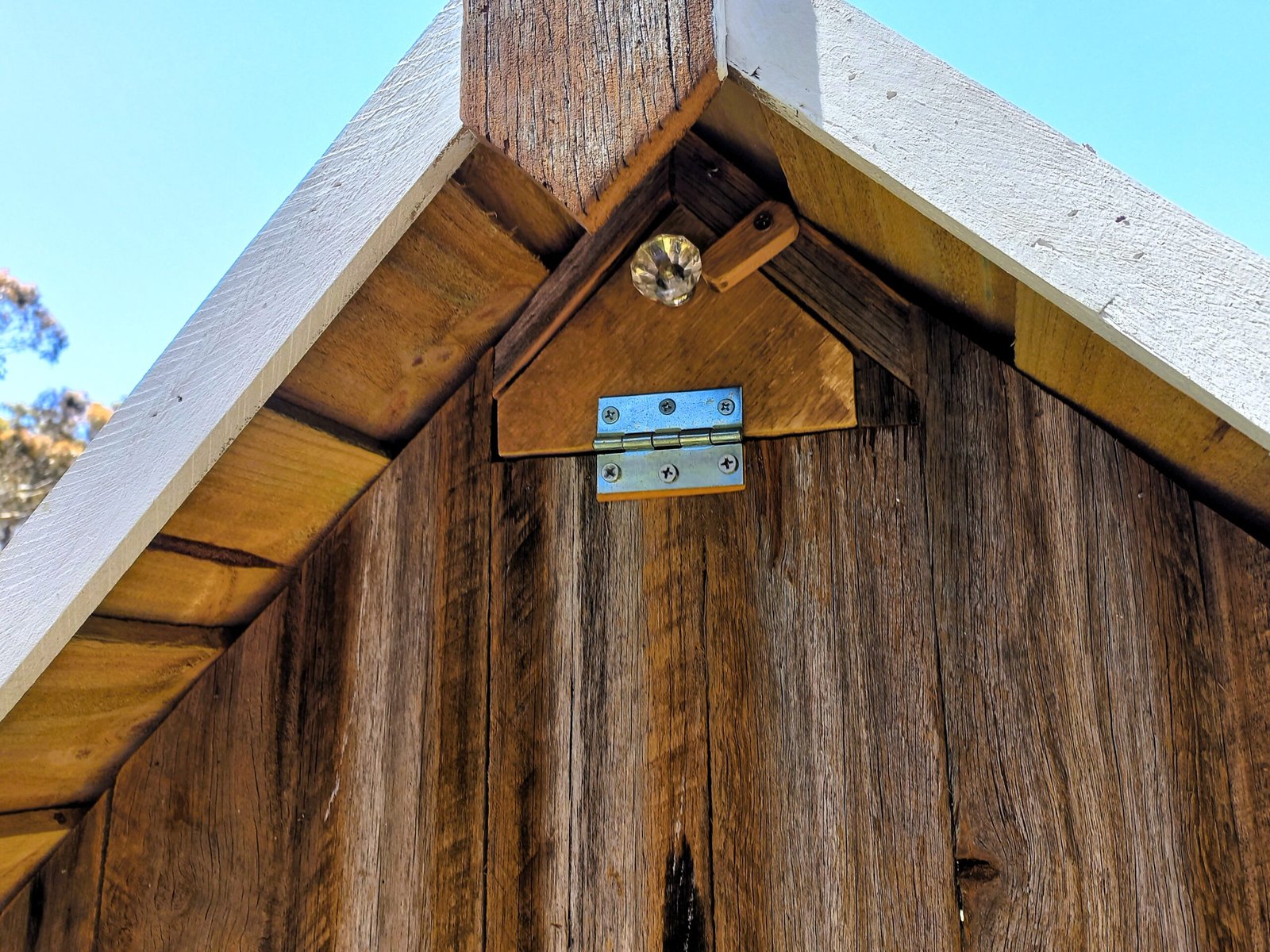 dixie’s xl duck cottage ii