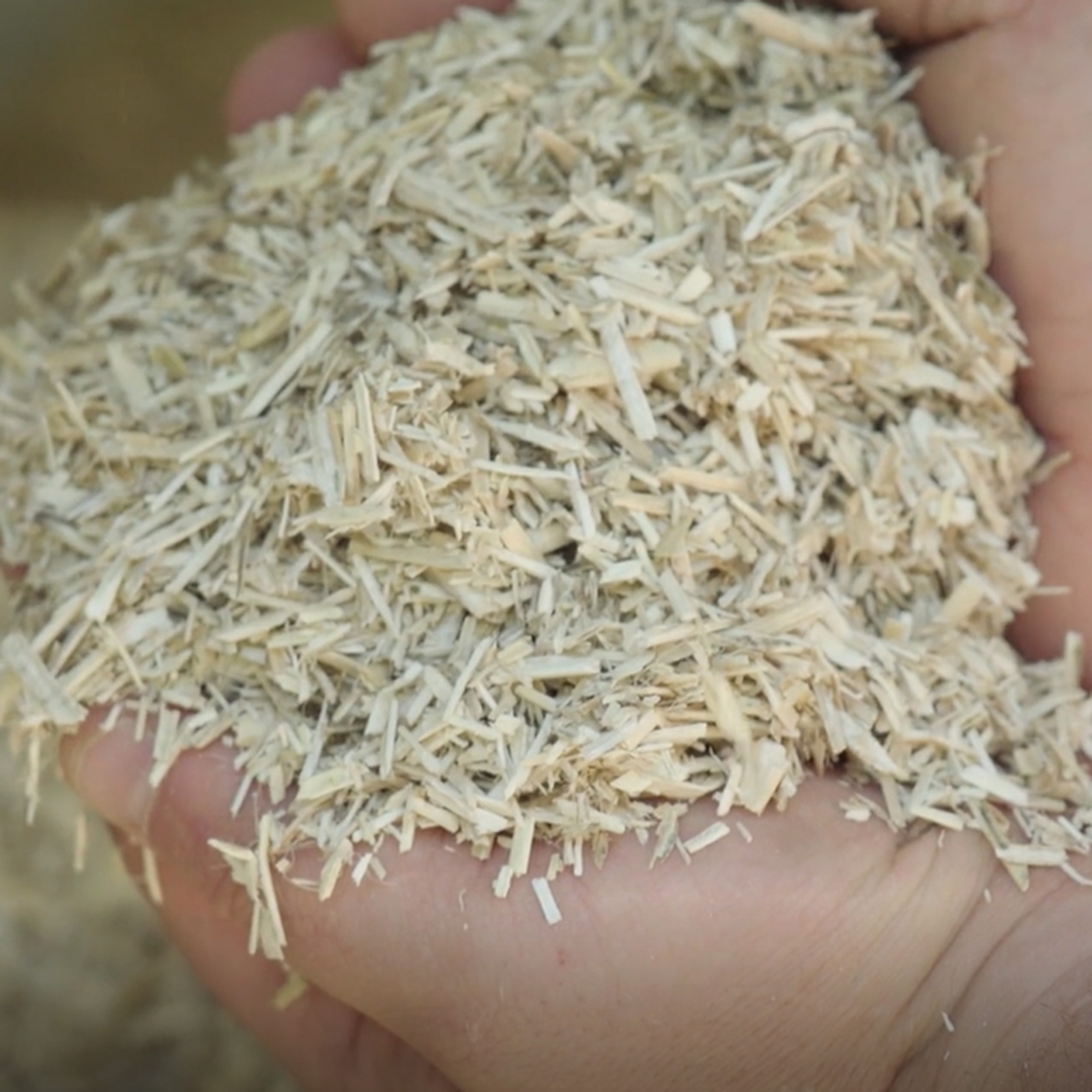 Carolina Coops® Premium Hemp Poultry Bedding - Image 2