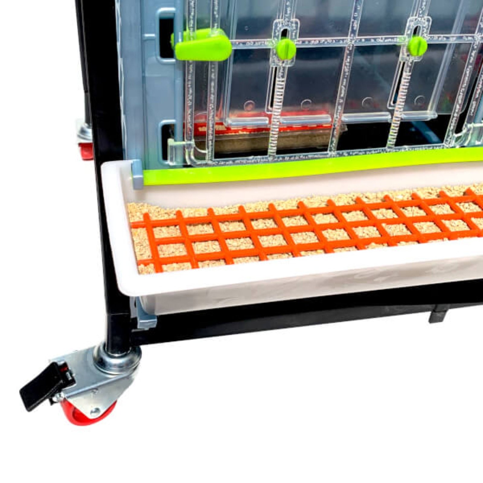Chick Brooder - 2 Layer H: 15" - Image 5