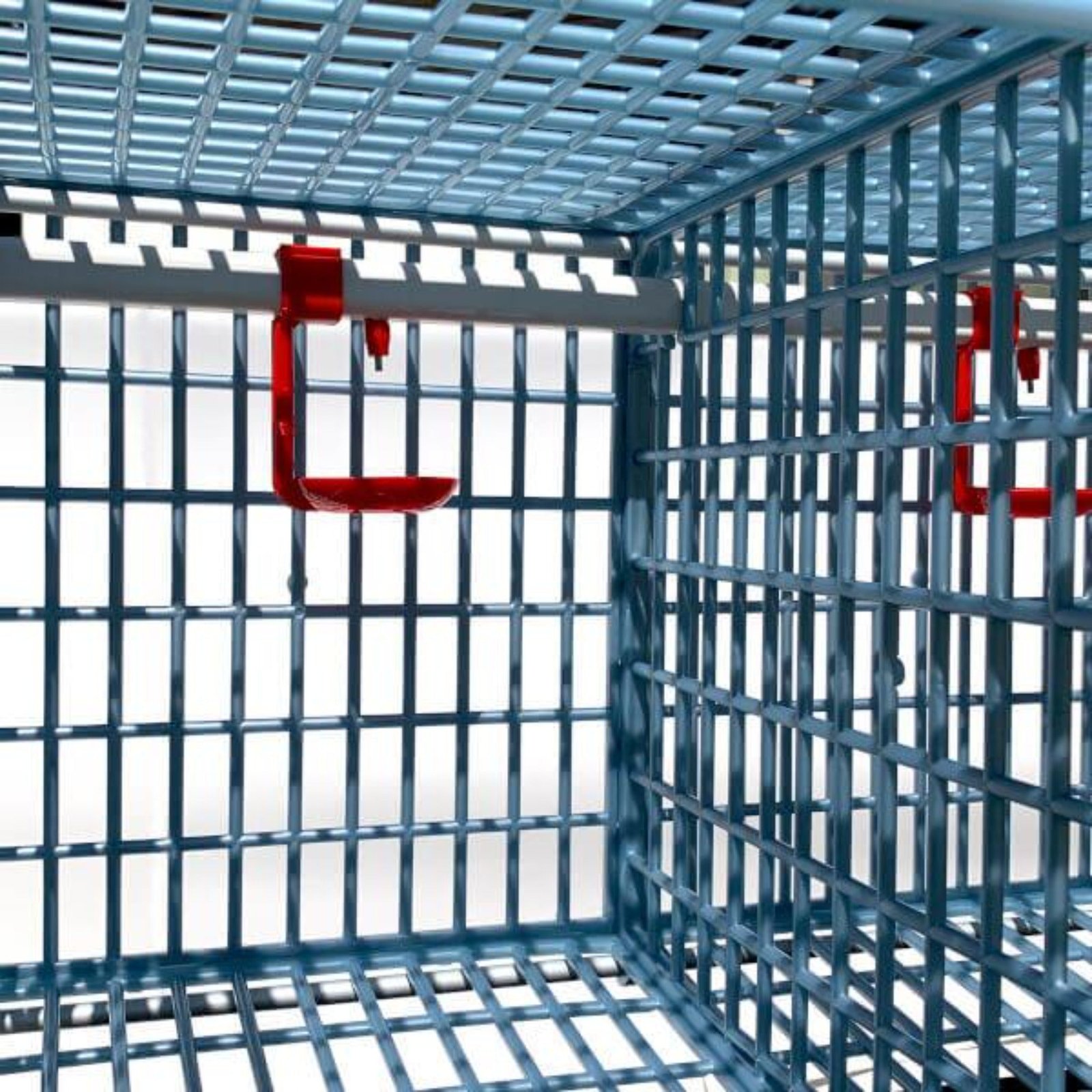 Chicken Cage - 2 Layer H: 15" - Image 7