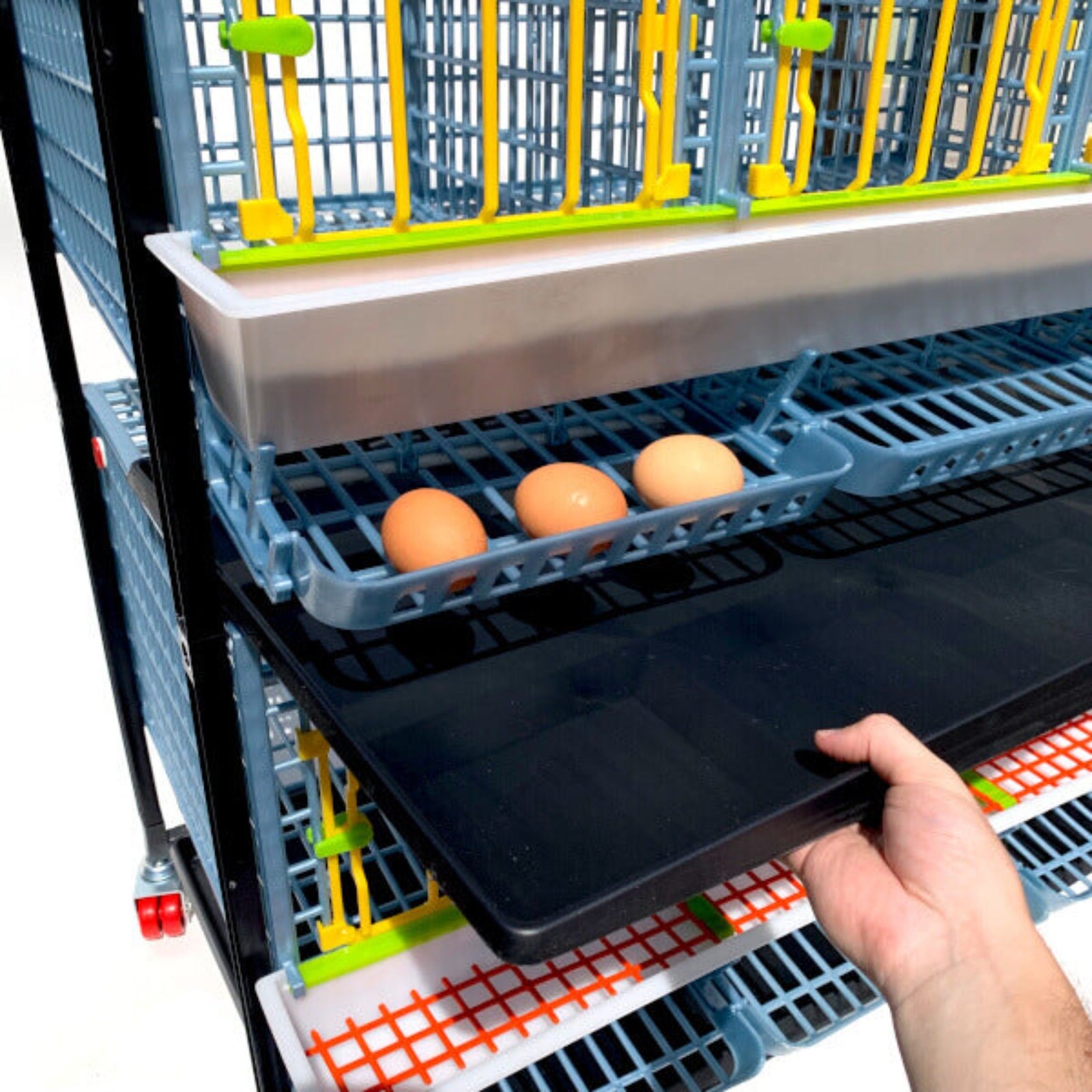 Chicken Cage - 1 Layer H: 15" - Image 3