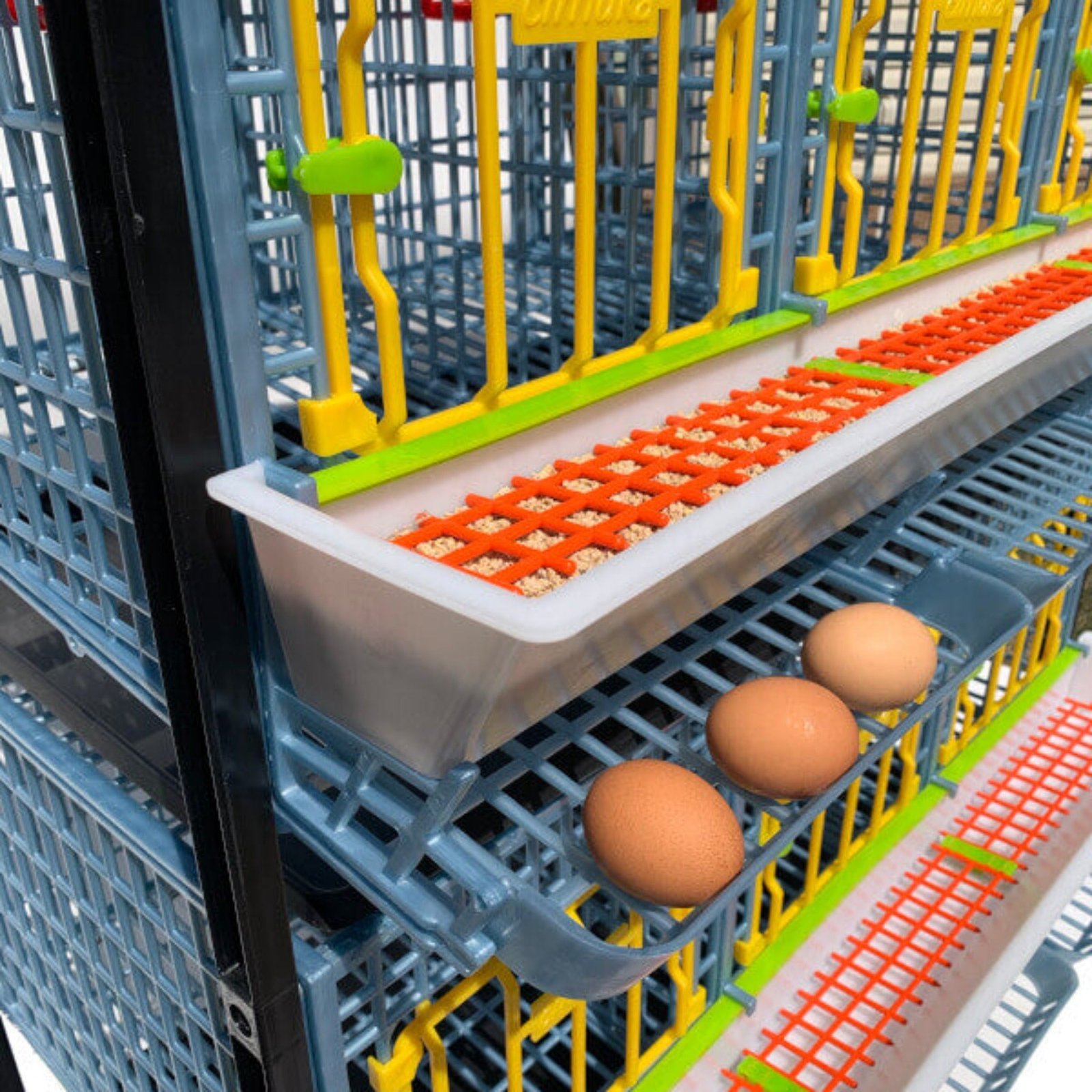 Chicken Cage - 1 Layer H: 15" - Image 4