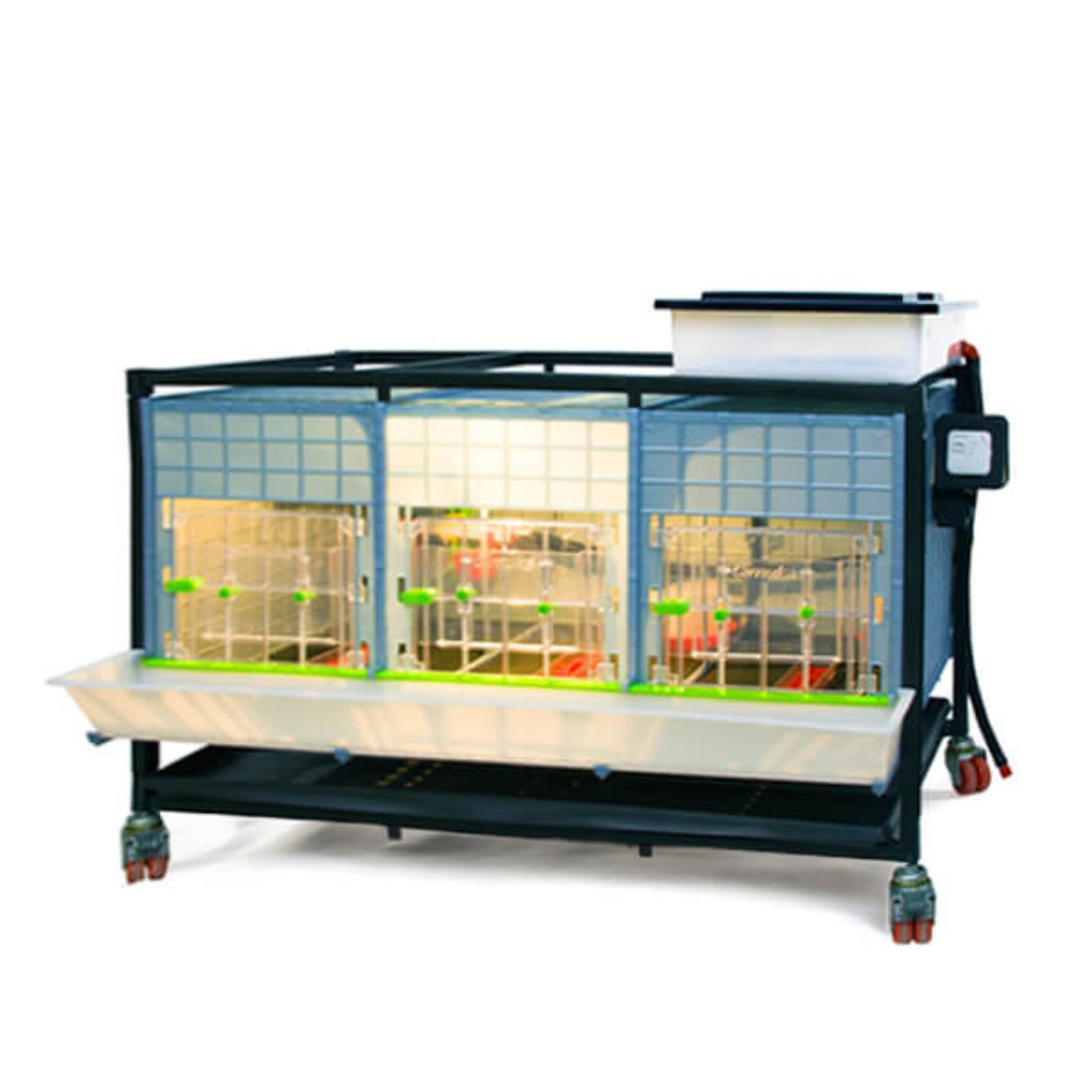 Chick Brooder - 1 Layer H: 15" - Image 2