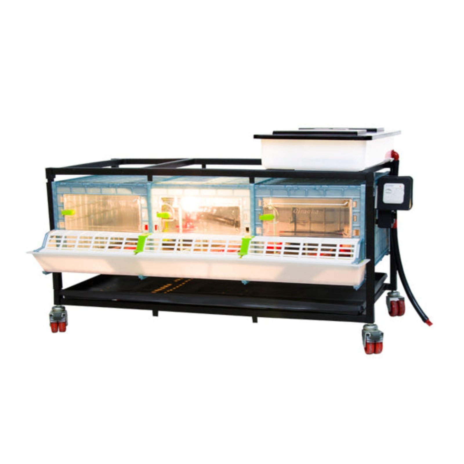 Chick Brooder - 1 Layer H: 9.5" - Image 2