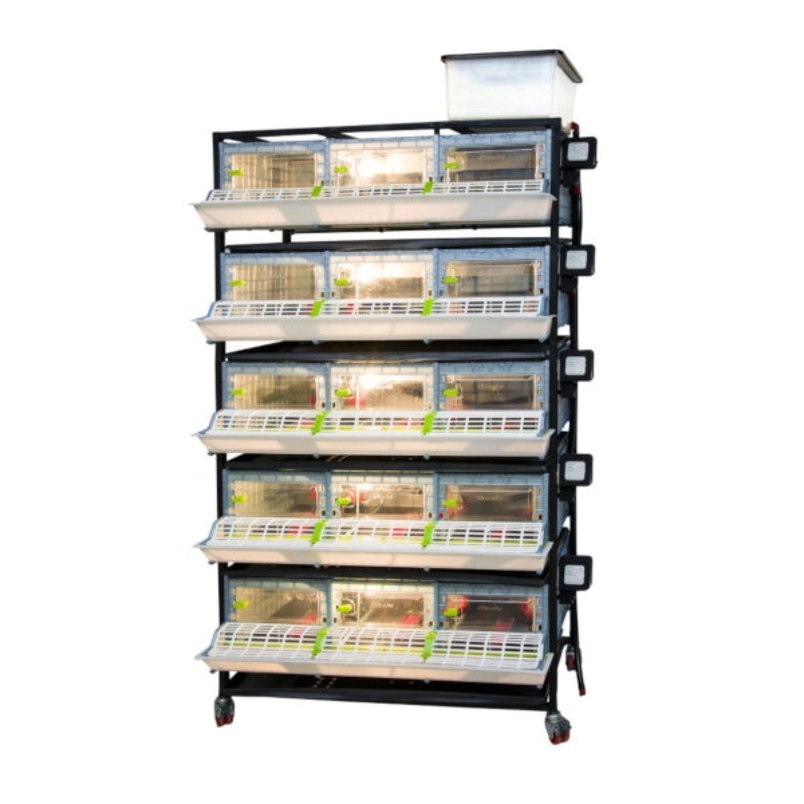 Chick Brooder - 5 Layer H: 9.5" - Image 2