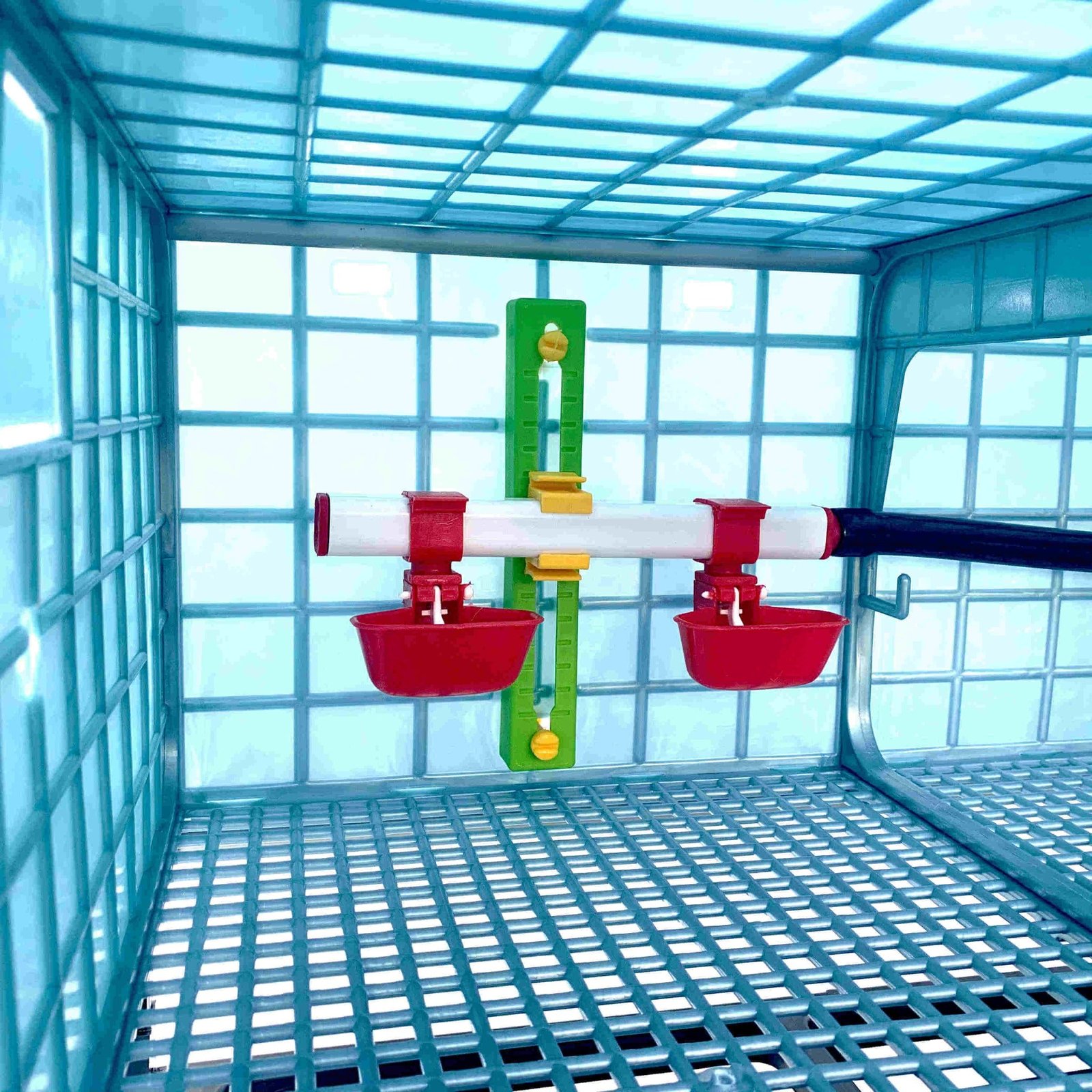 Grow Out Pen - 2 Layer H:9.5" - Image 6