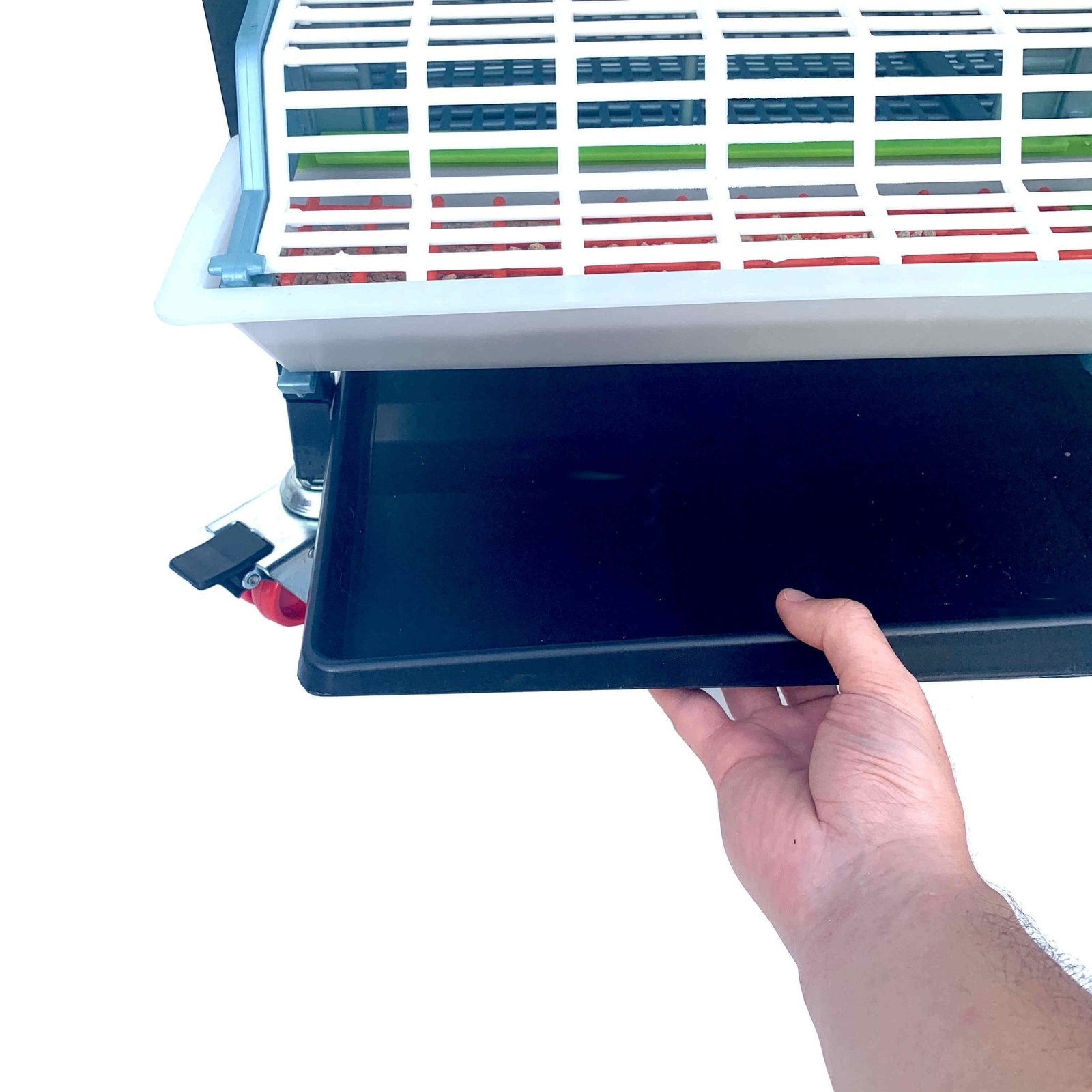 Grow Out Pen - 4 Layer H:9.5" - Image 3