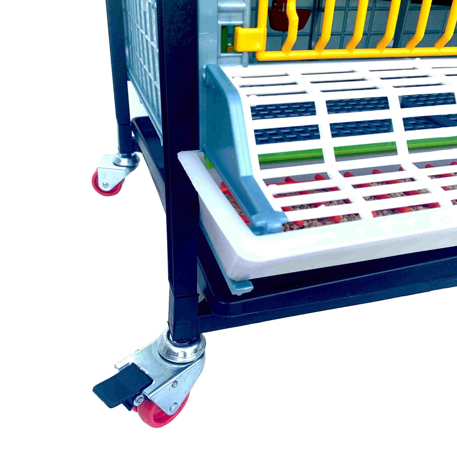 Grow Out Pen - 4 Layer H:9.5" - Image 2