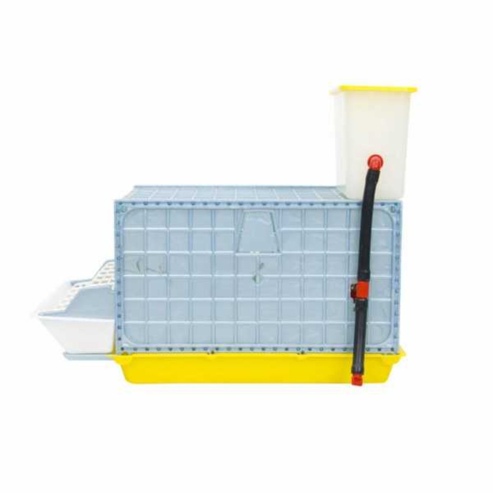 Grow Out Pen - 1 Section H:9.5" - Image 4