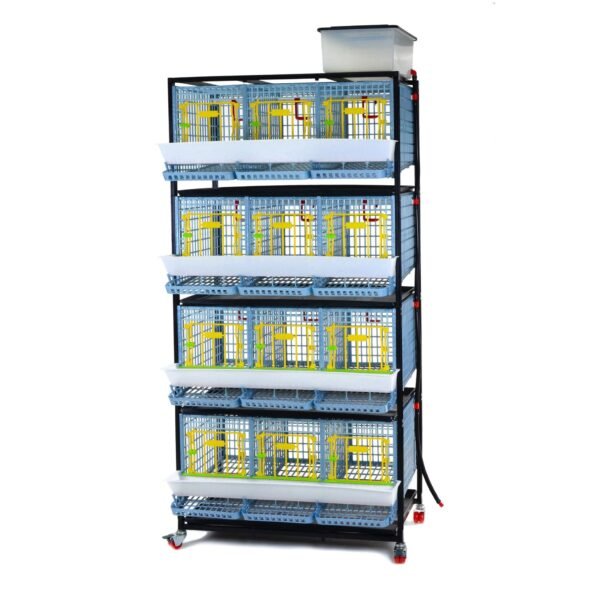 Chicken Cage - 4 Layer H: 15"