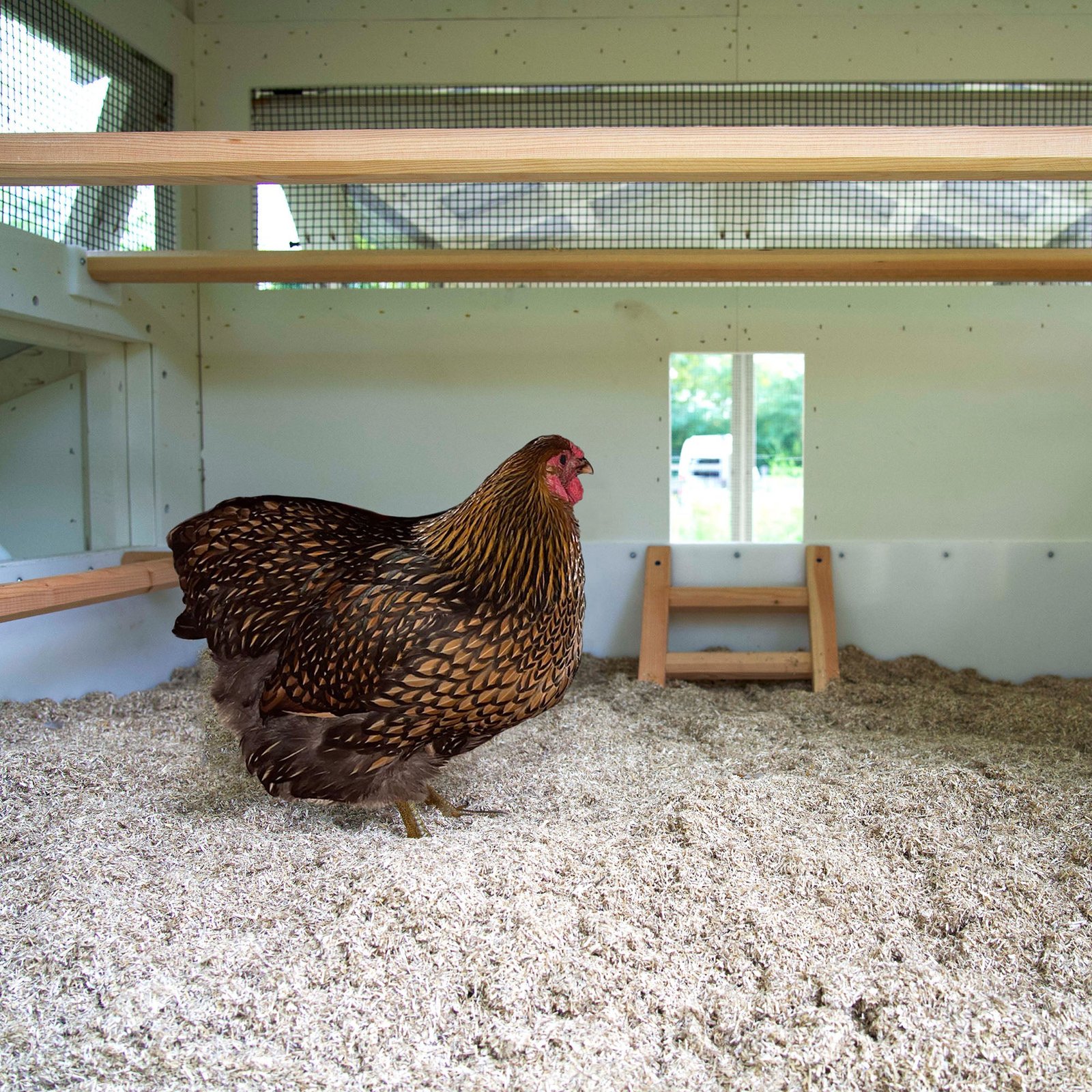 Carolina Coops® Premium Hemp Poultry Bedding - Image 3