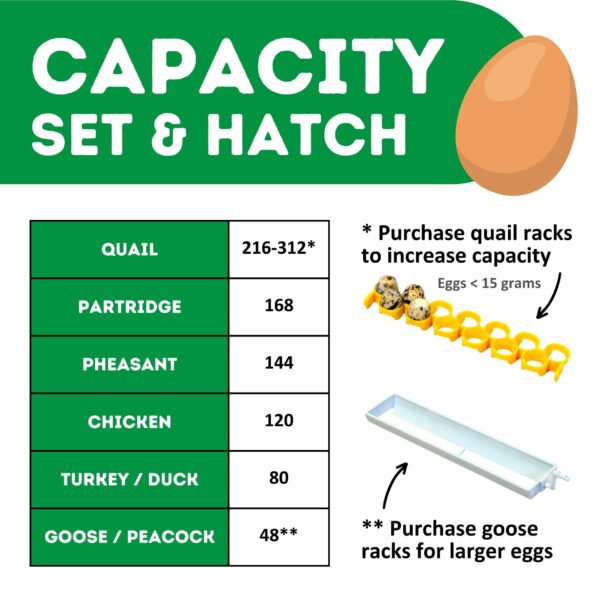 CT120 SH - Egg Incubator - Setter & Hatcher - Image 4