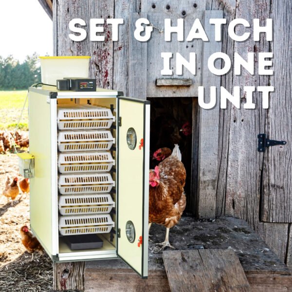 CT180 SH - Egg Incubator - Setter & Hatcher - Image 3