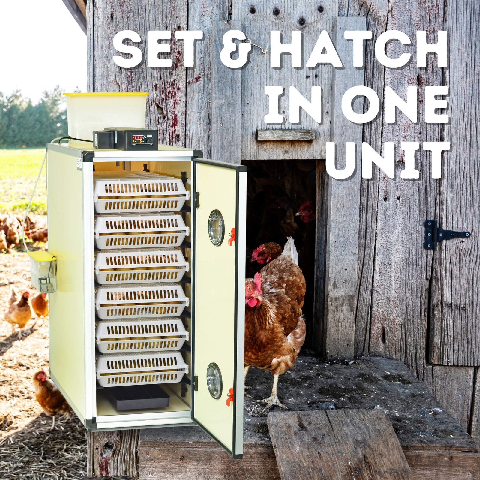CT180 SH - Egg Incubator - Setter & Hatcher - Image 3