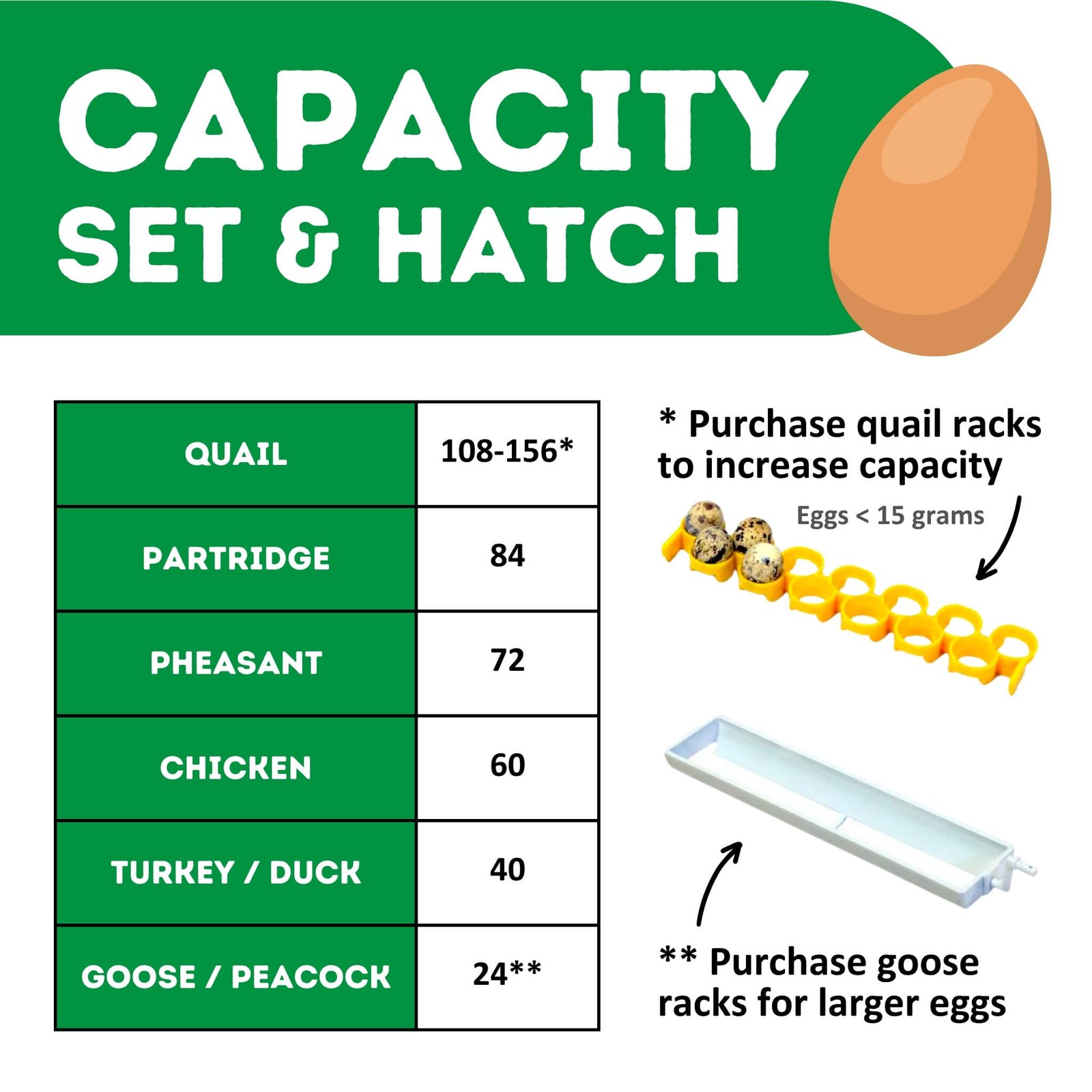 CT60 SH - Egg Incubator - Setter & Hatcher - Image 4