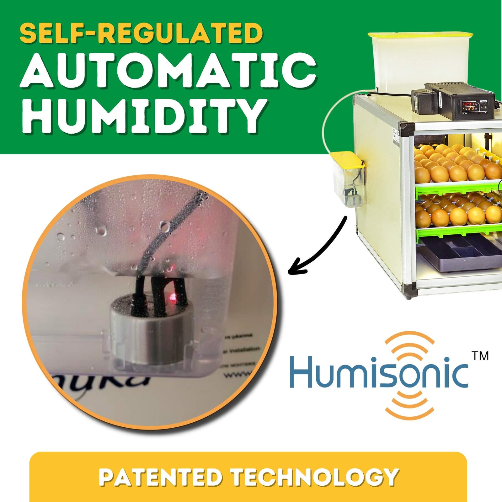 CT60 SH - Egg Incubator - Setter & Hatcher - Image 7