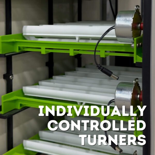 CT60 SH - Egg Incubator - Setter & Hatcher - Image 13