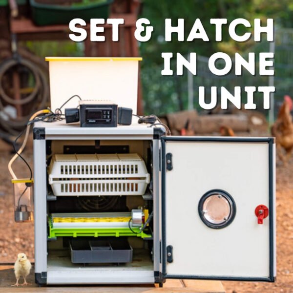 CT60 SH - Egg Incubator - Setter & Hatcher - Image 3