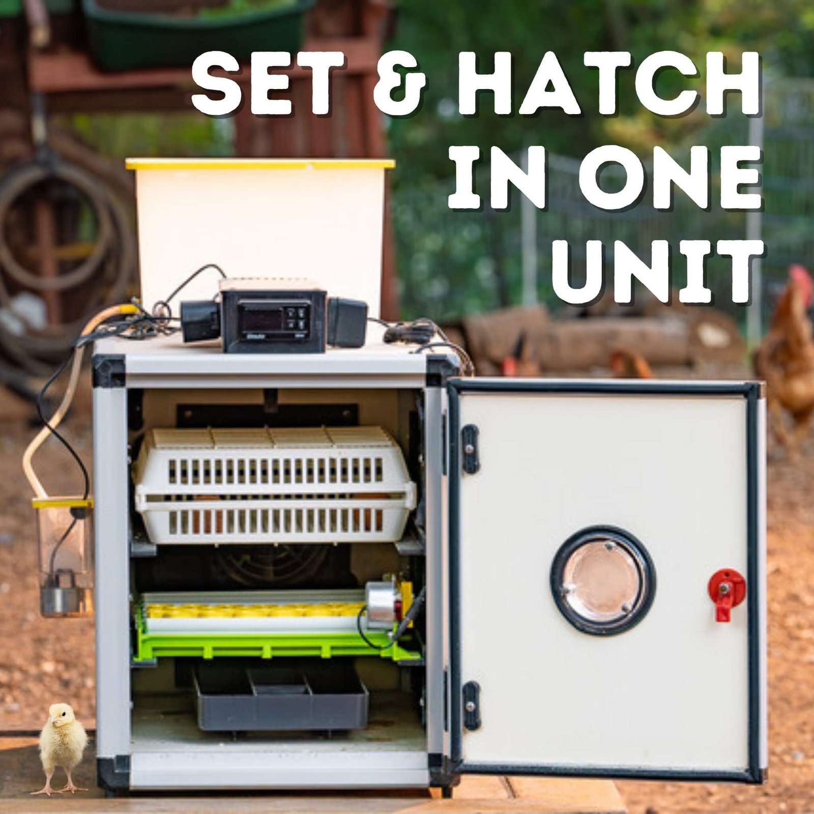 CT60 SH - Egg Incubator - Setter & Hatcher - Image 3