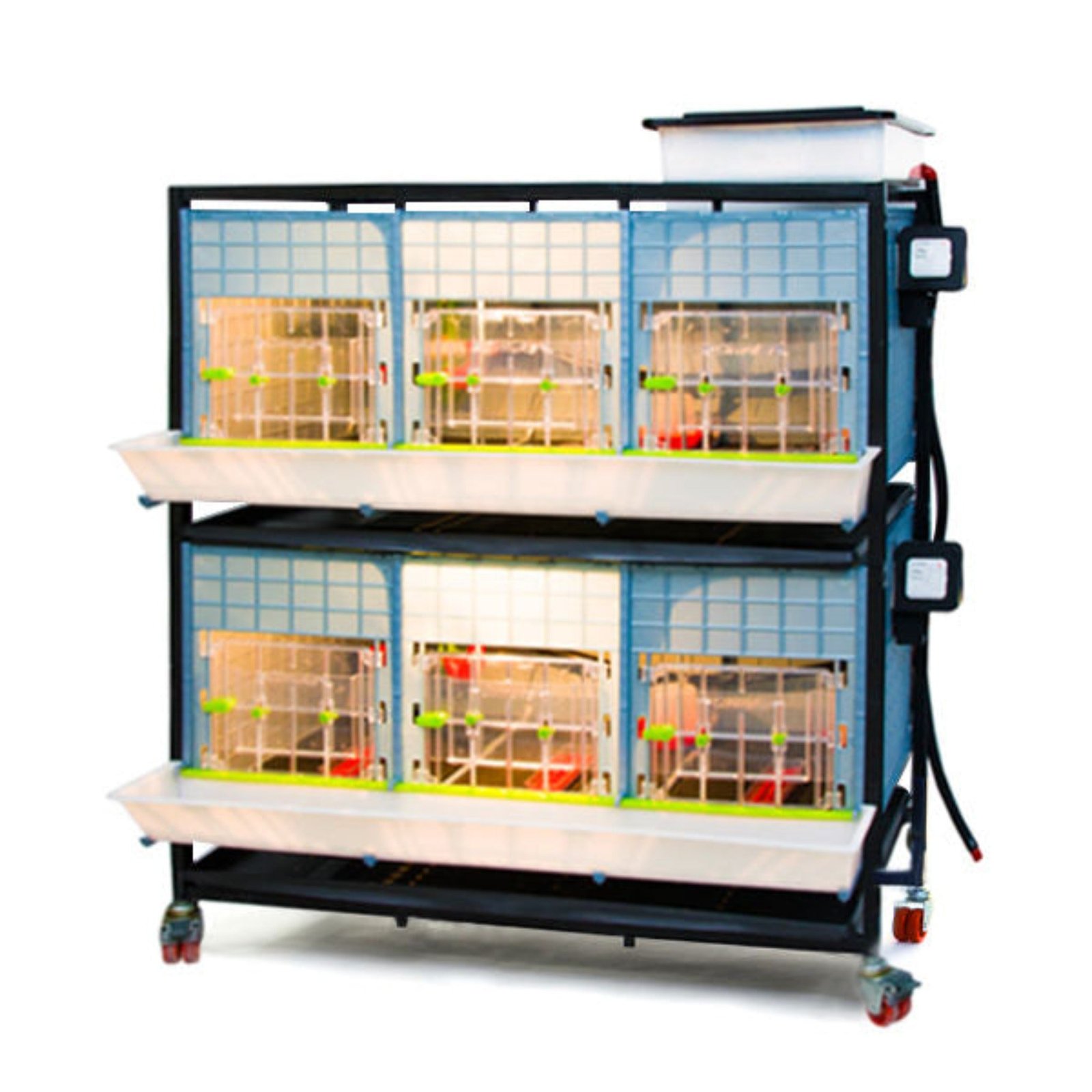 Chick Brooder - 2 Layer H: 15" - Image 2